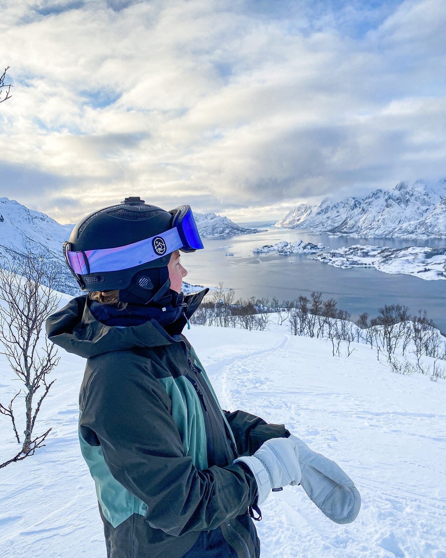 Pure Shred Goggles - Pure Madness Apparel